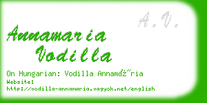 annamaria vodilla business card